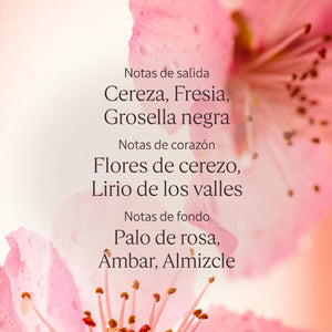 V2H206A9050C818A88AFFF833B27CE6839CR7407083P4