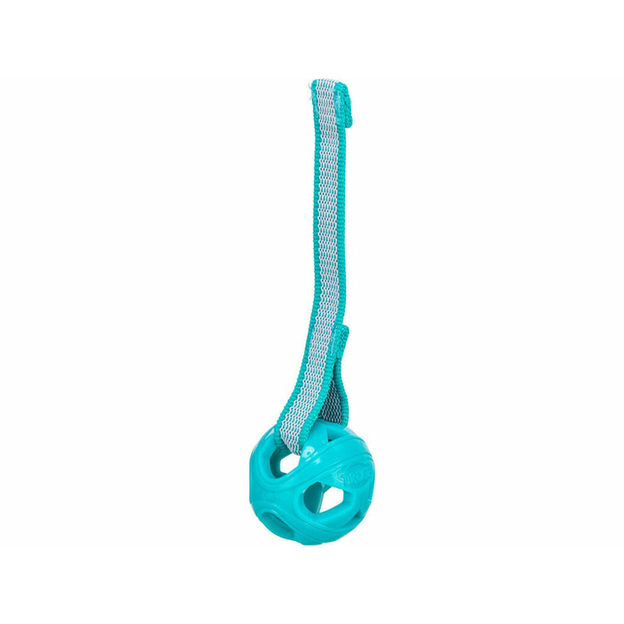 Dog toy Trixie Turquoise ø 6 x 23 cm Ball