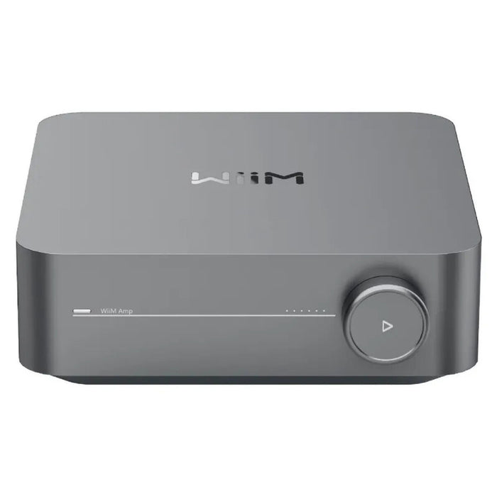Amplifier Wiim WIIN AMP