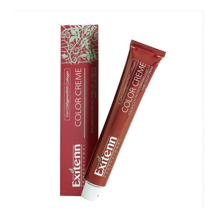 Permanente Kleur Color Creme Exitenn Color Creme Nº 12001 (60 ml)