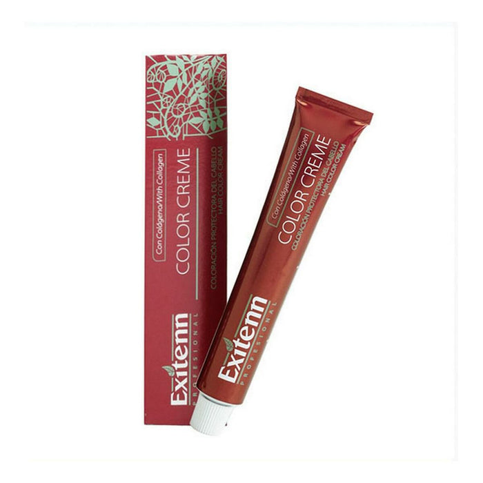 Permanente Kleur Color Creme Exitenn Color Creme Nº 4 Medium Brown (60 ml)
